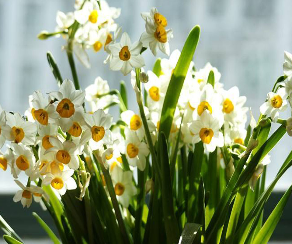 636268970072954144944001.jpg 636268970072954144944001.jpg