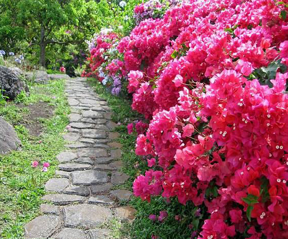 6362698476590030407699339.jpg 6362698476590030407699339.jpg