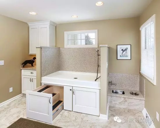 640.webp (5).jpg 宠物沐浴房装饰4图片