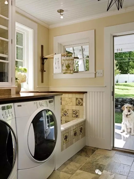 640.webp (7).jpg 宠物沐浴房装饰6图片