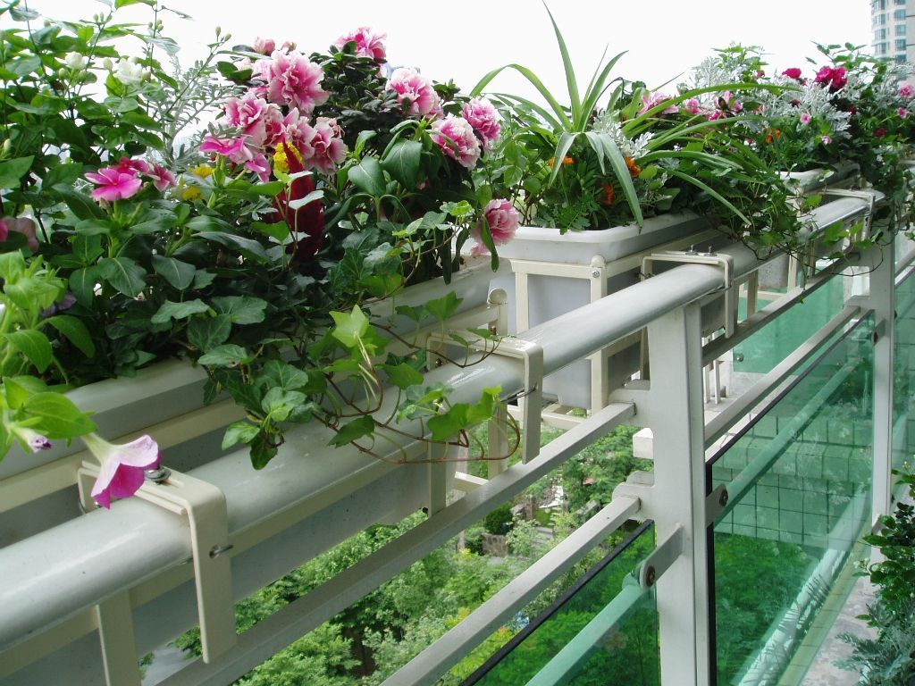 timg (1).jpg timg (1).jpg