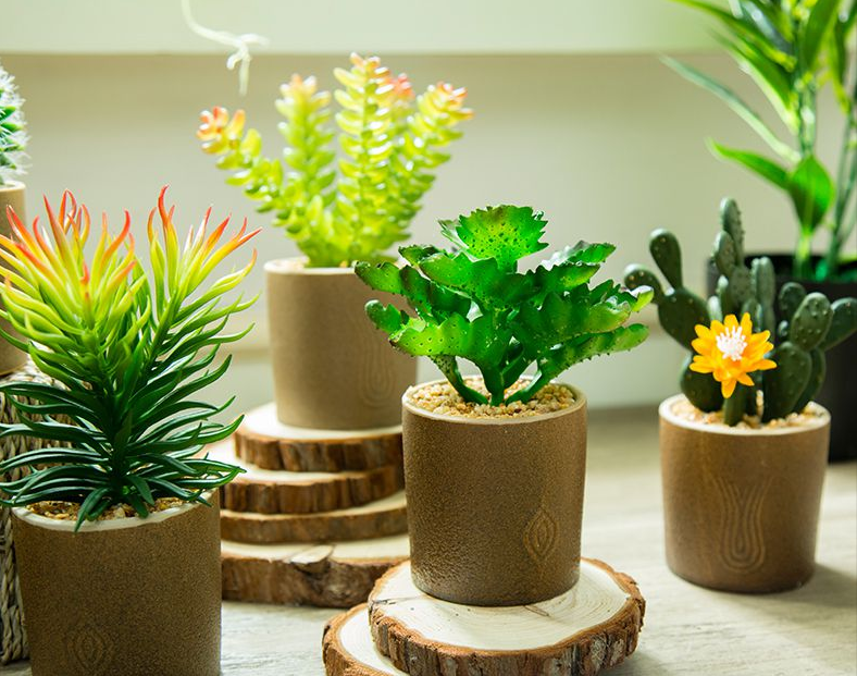 1559289625(1).jpg 1559289625(1).jpg