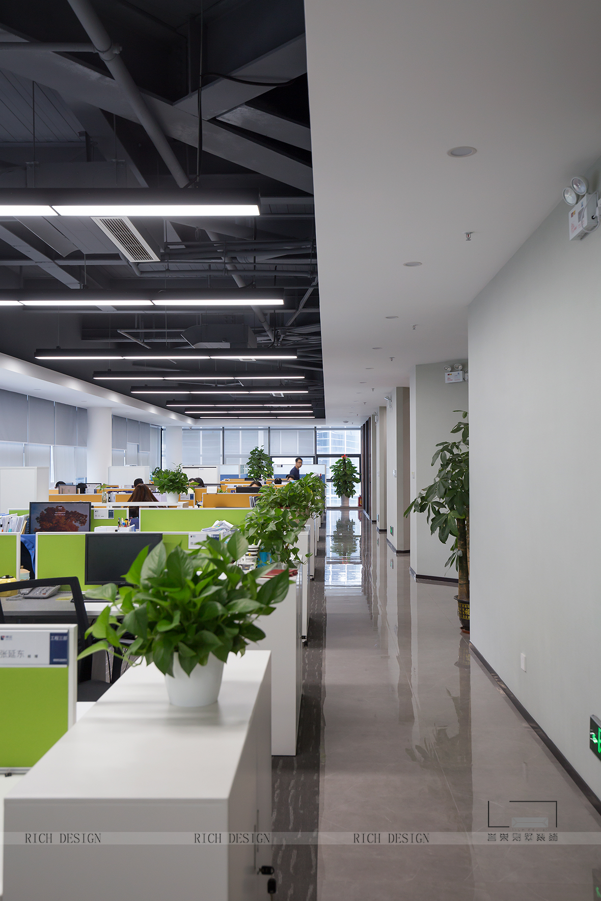 _MG_7233.jpg _MG_7233.jpg