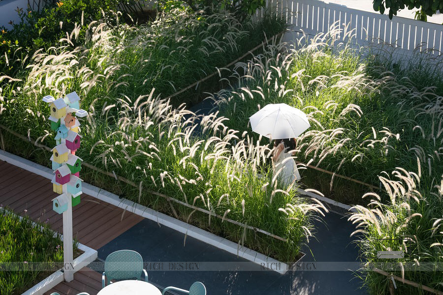 巢里巢外 巡乡小院民宿 巢里巢外 巡乡小院民宿